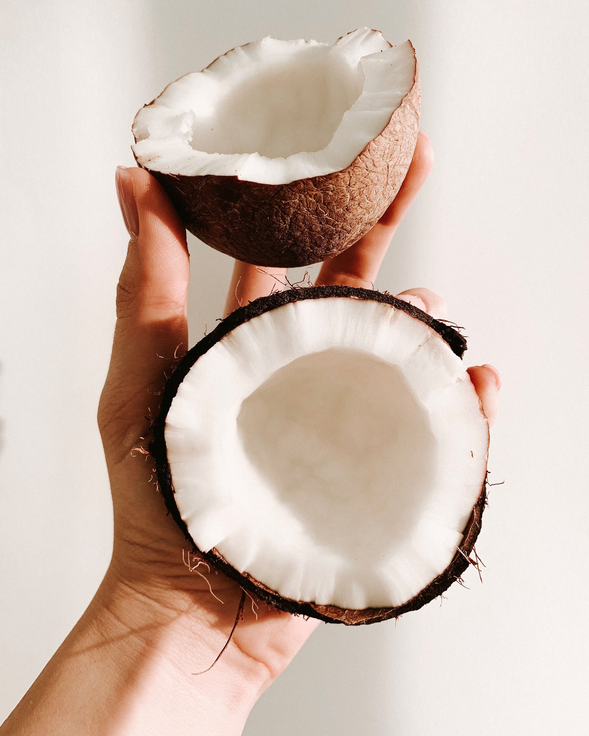 COCONUT CONDITIONER